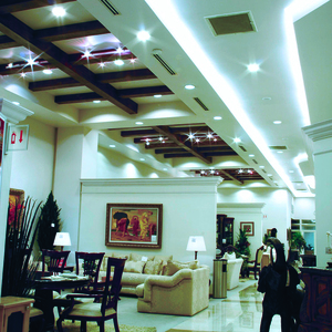 8PAR30LED65MV25 8PAR30LED65MV25
