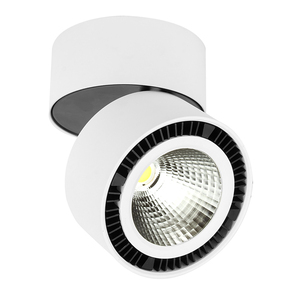 PTLLED-209/24W/30B PTLLED-209/24W/30B