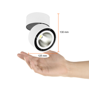 PTLLED-209/24W/30B PTLLED-209/24W/30B